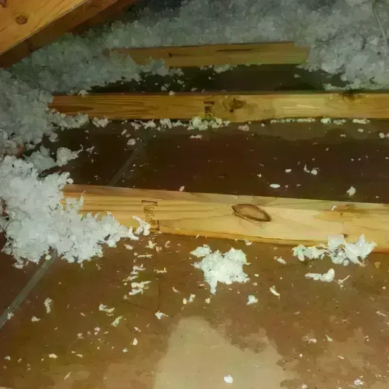 Attic Water Damage in Marion County, AL