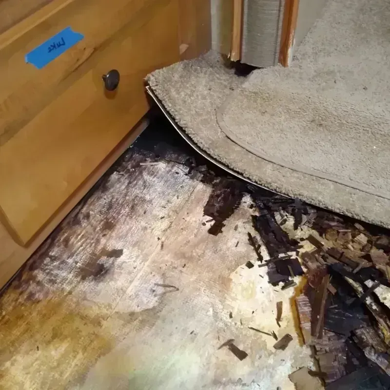 Best Wood Floor Water Damage Service in Marion County, AL